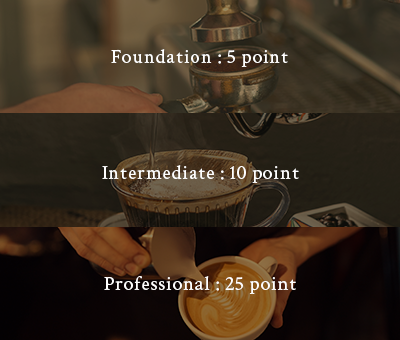 sca�ڰ�������